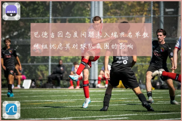 巴德吉因态度问题未入瑞典名单教练组忧虑其对球队氛围的影响