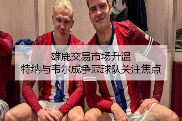 雄鹿交易市场升温 特纳与韦尔成争冠球队关注焦点 - Yabo